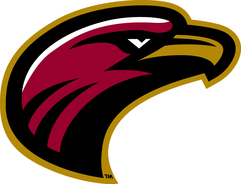 Louisiana-Monroe Warhawks 2006-Pres Alternate Logo v7 iron on transfers for T-shirts